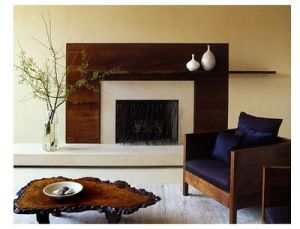 Photos of fireplaces - Gas fireplace - Modern Fireplace.JPG